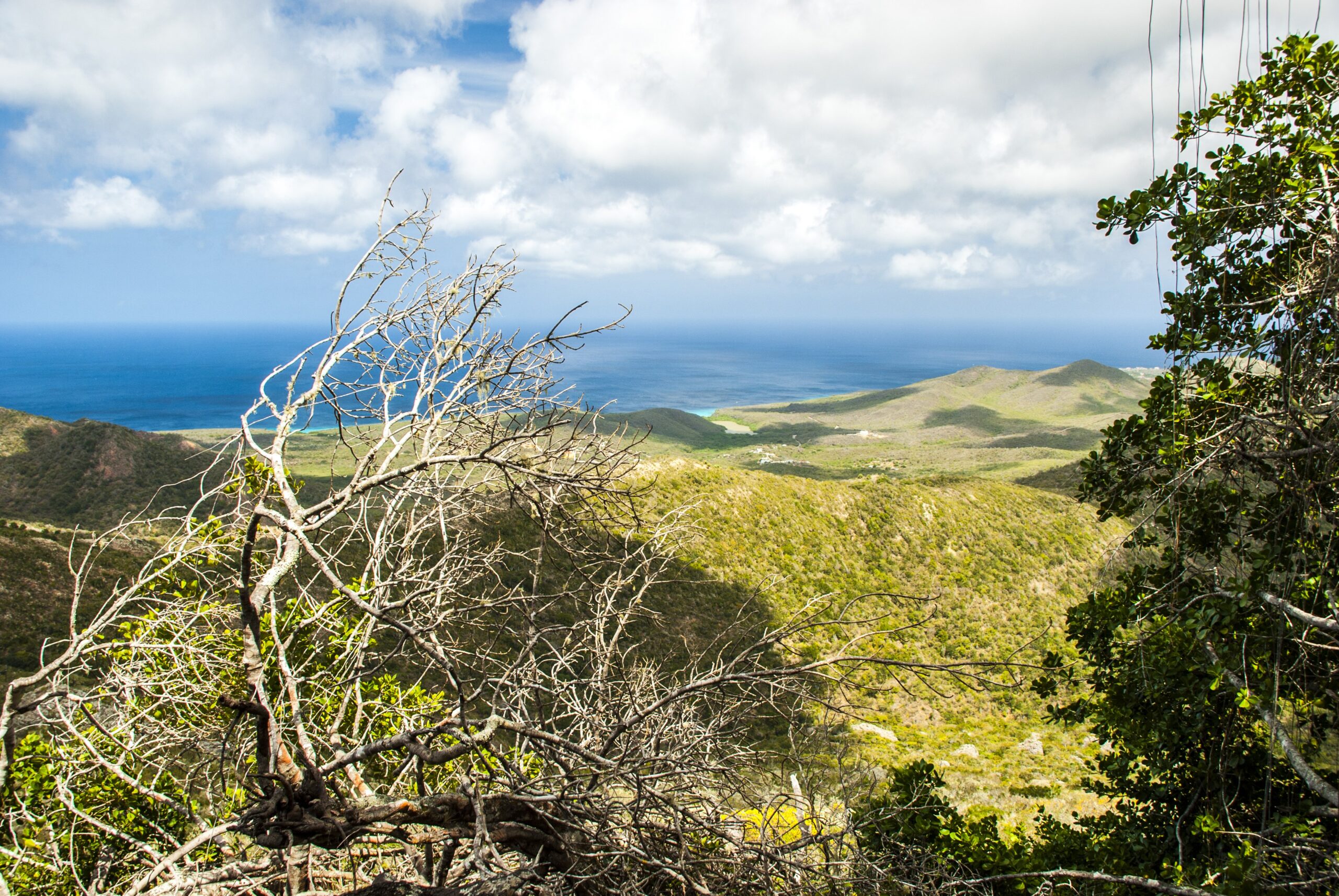 Top 5 dagtrips op Curaçao: van Klein Curaçao tot Christoffelpark